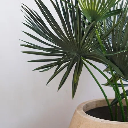 Lovely 1br & 1lr For 4p, Only 15 Min Walk To Center *